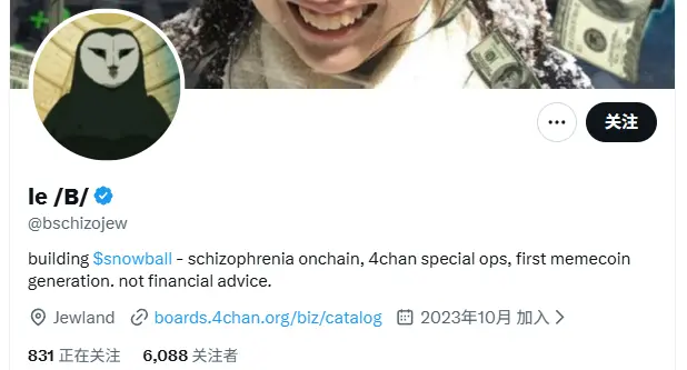 Snowball team information